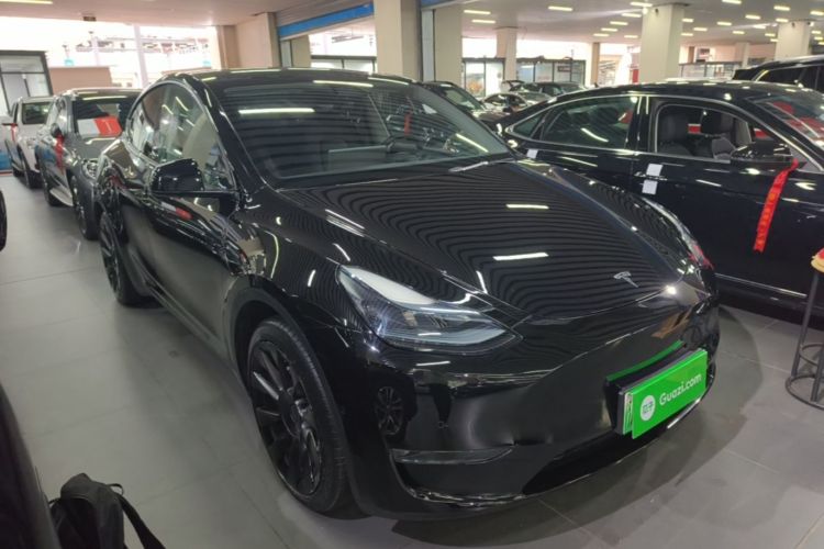 Tesla Model Y 2021 immagine di auto #4