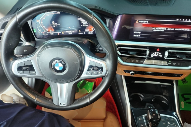 BMW 3 Series 2020 car image #10