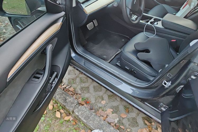 Tesla Model 3 2022 #18 Tesla Model 3 2022 صورة سيارة #18