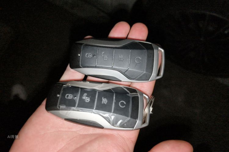 BYD Han 2022 immagine di auto #10