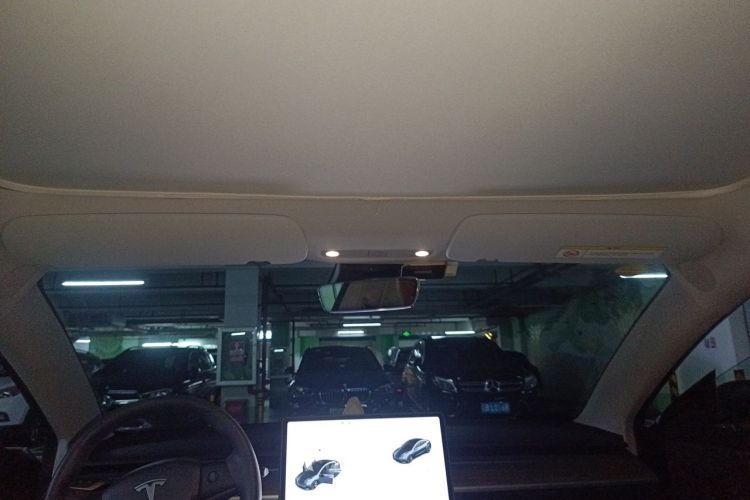 Tesla Model 3 2020 car image #16
