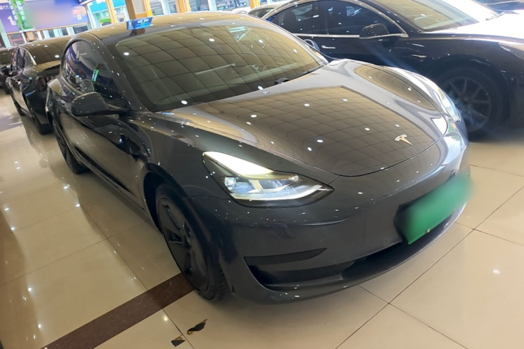 Tesla Model 3 2021 car image #4