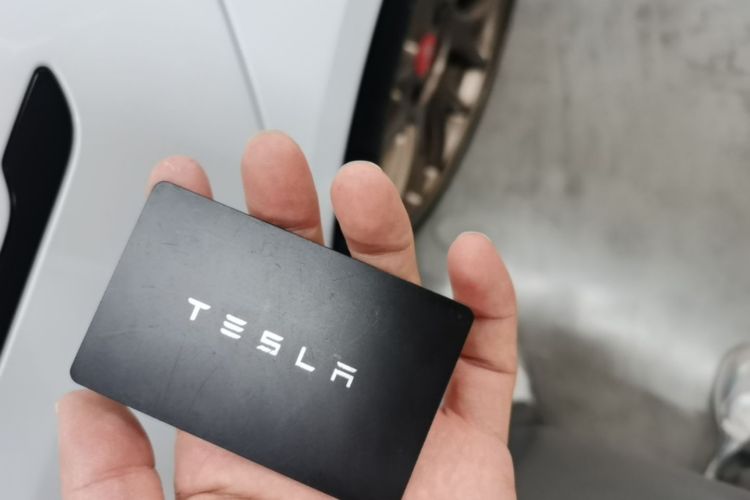 Tesla Model 3 2024 #14 Tesla Model 3 2024 car image #14