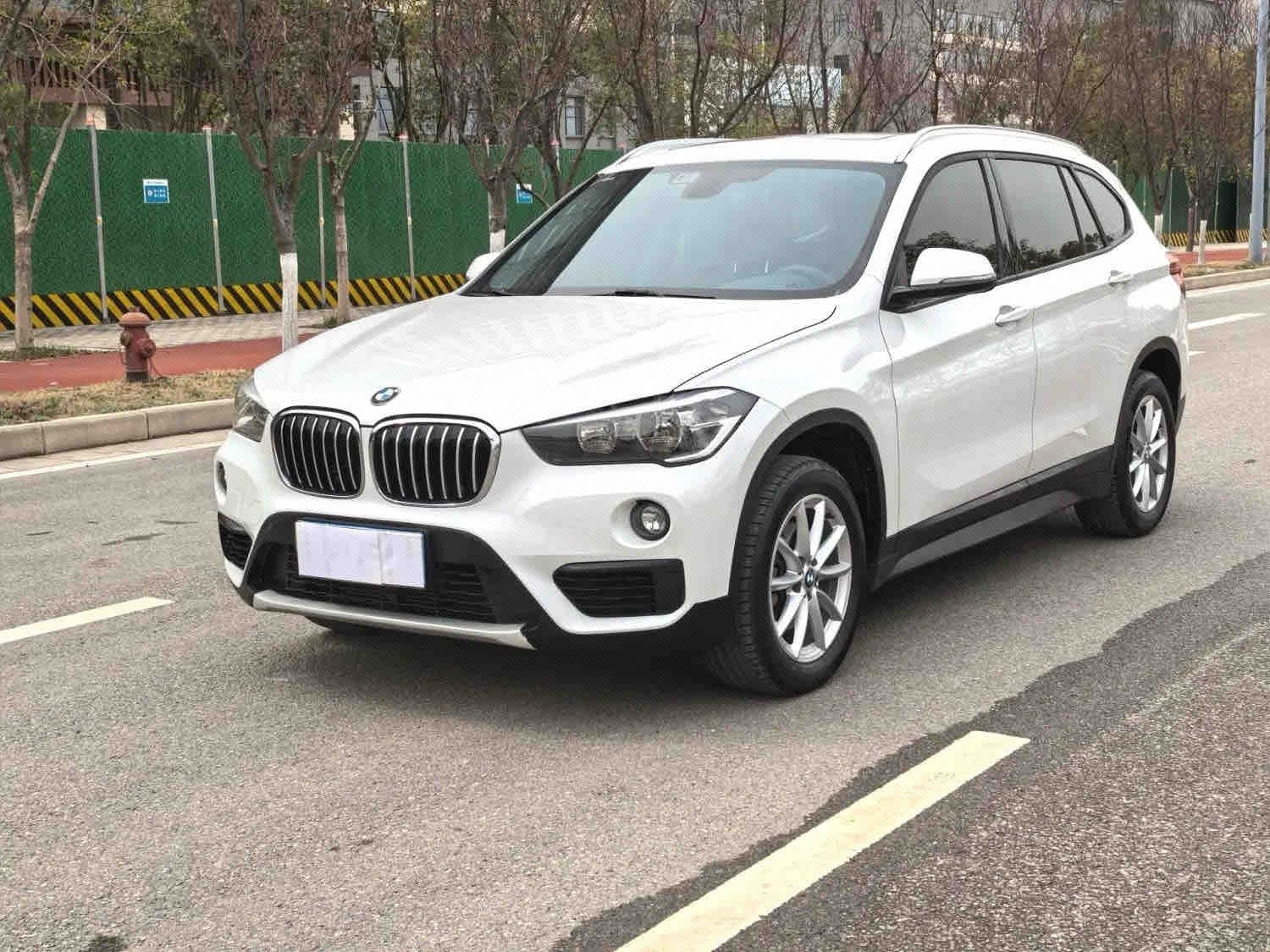 BMW X1 2019 BMW X1 2019 imagen de coche