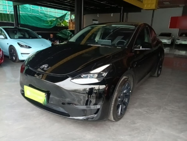 Tesla Model Y 2021 Tesla Model Y 2021 car image