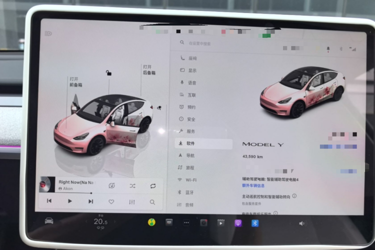 Tesla Model Y 2024 car image #12