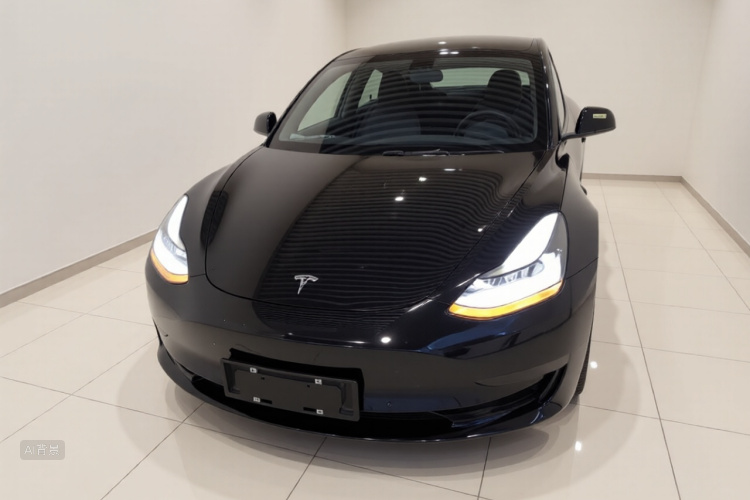 Tesla Model 3 2021 car image #3