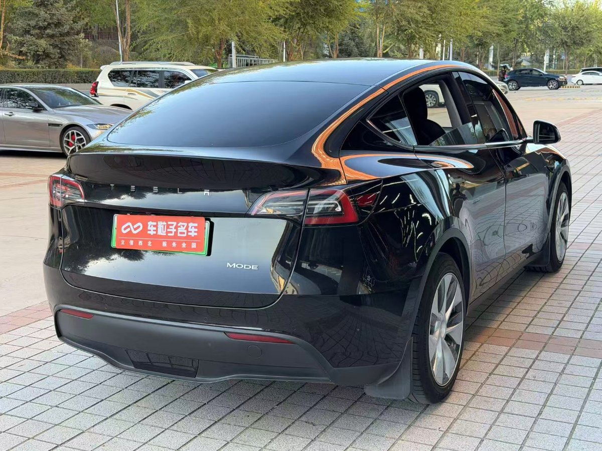 Tesla Model Y 2022 car image #12