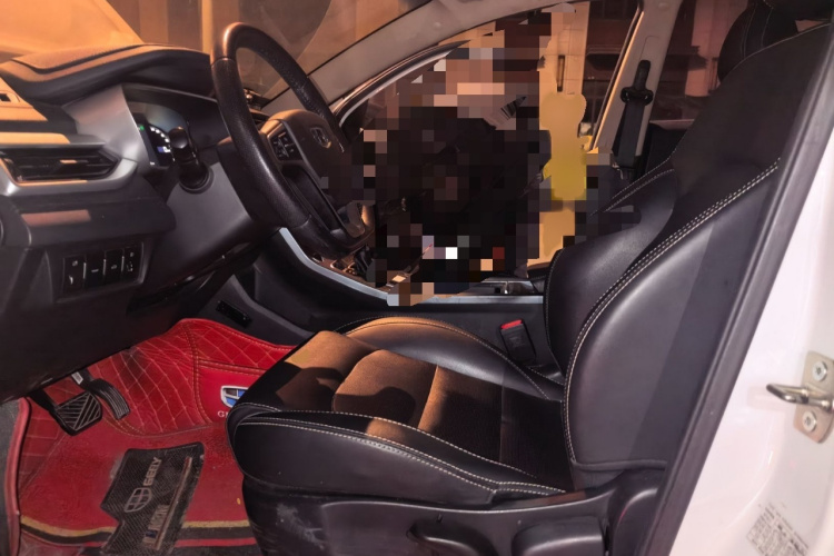 GEELY Emgrand 2019 car image #19