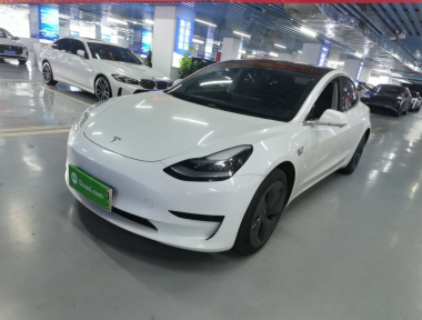 Tesla Model 3 2020 car image 