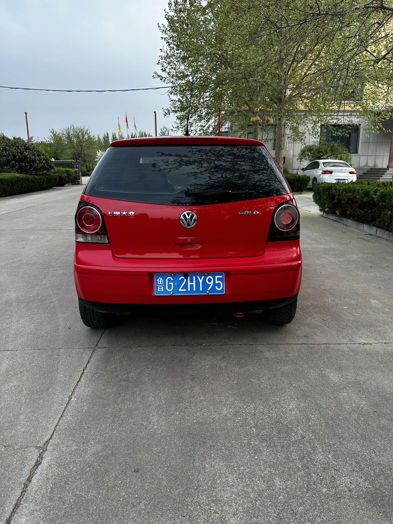 Volkswagen Polo 2009 car image #6