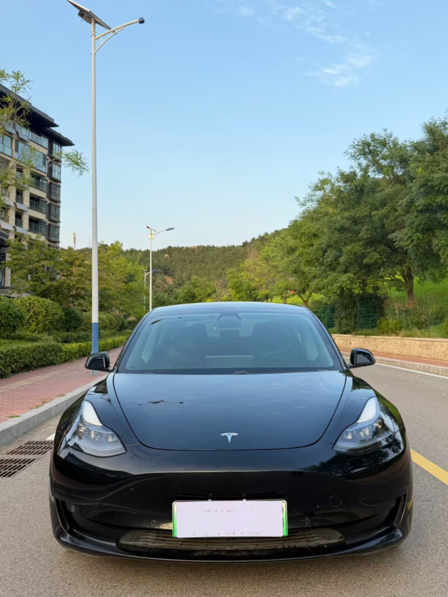 Tesla Model 3 2021 car image #2