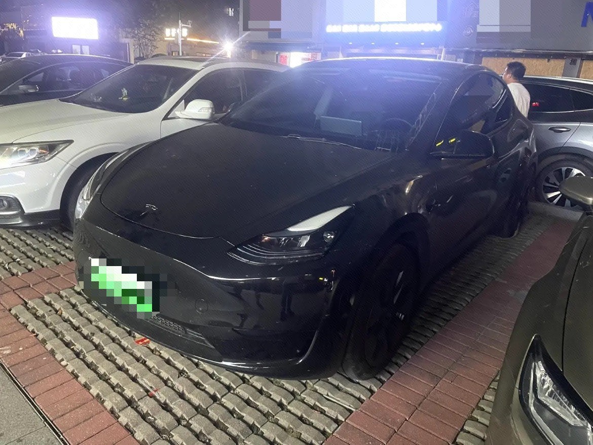 Tesla Model Y 2024 Tesla Model Y 2024 car image
