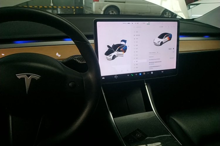 Tesla Model 3 2020 car image #10