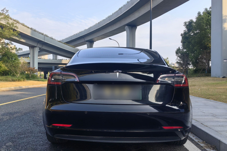 Tesla Model 3 2020 #7 Tesla Model 3 2020 صورة سيارة #7