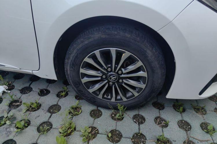 Toyota Corolla 2019 car image #9