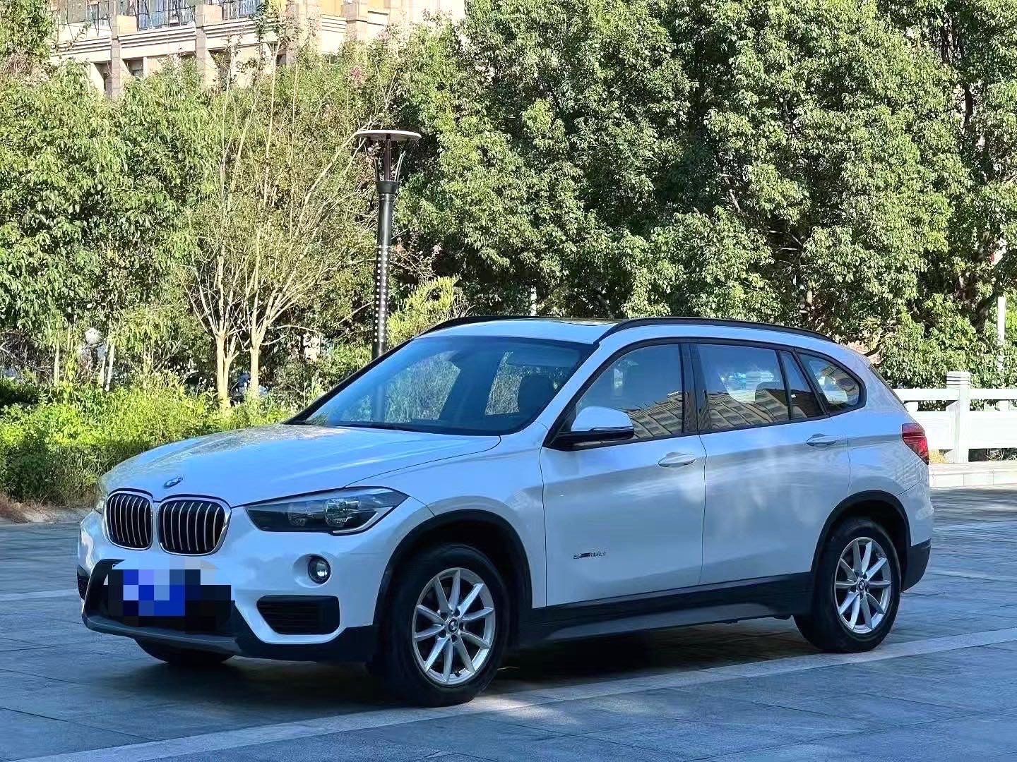 BMW X1 2016 immagine di auto 