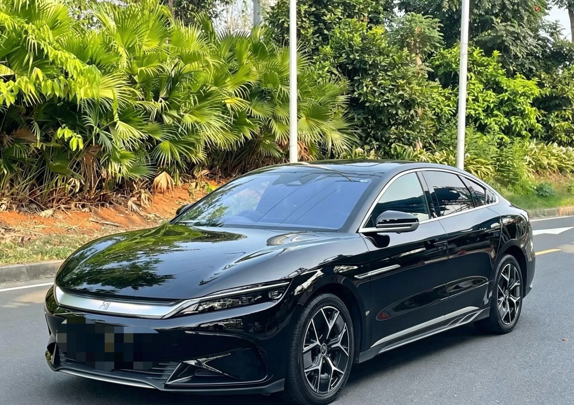 BYD Han 2024 BYD Han 2024 car image