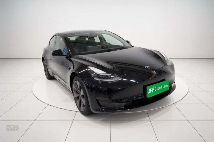 Tesla Model 3 2020 car image #4