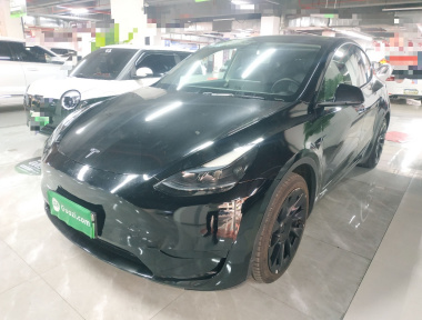 Tesla Model Y 2022 Tesla Model Y 2022 car image