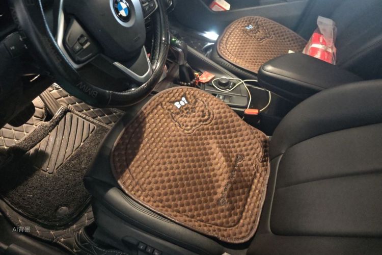 BMW X1 2019 car image #18