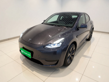 Tesla Model Y 2024 Tesla Model Y 2024 car image