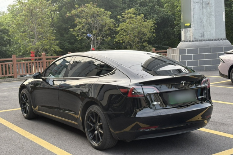 Tesla Model 3 2022 #6 Tesla Model 3 2022 car image #6