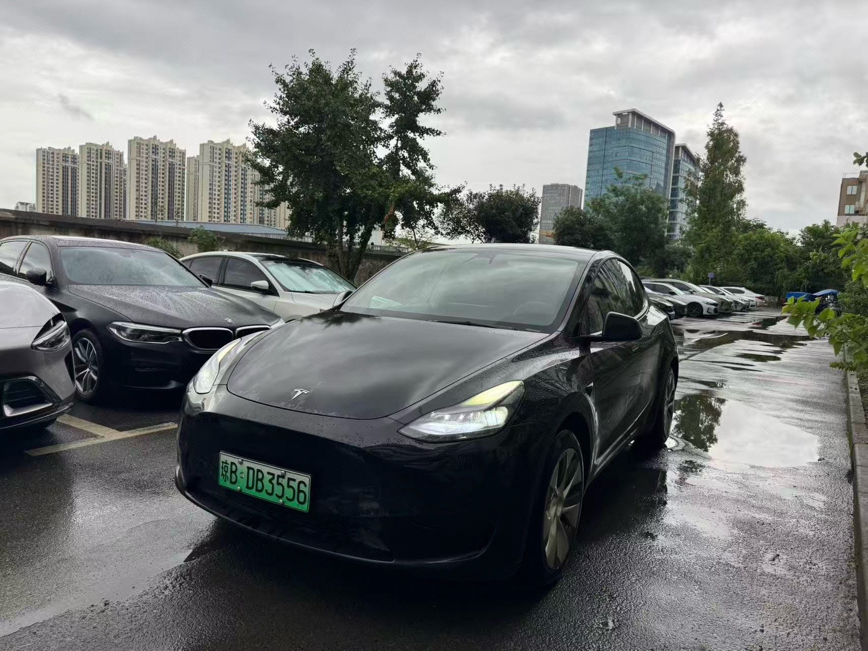 Tesla Model Y 2023 Tesla Model Y 2023 car image