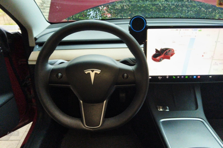 Tesla Model 3 2021 immagine di auto #12