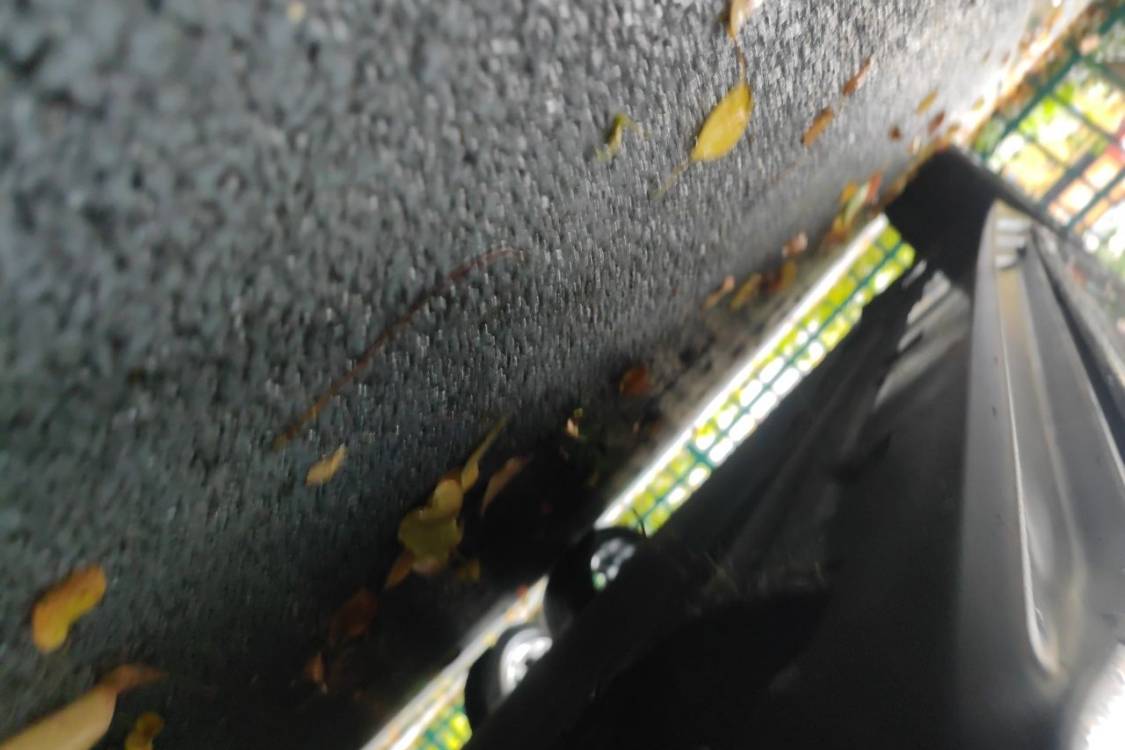 BYD Han 2022 car image #15