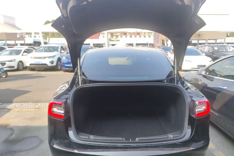 Tesla Model 3 2020 car image #19