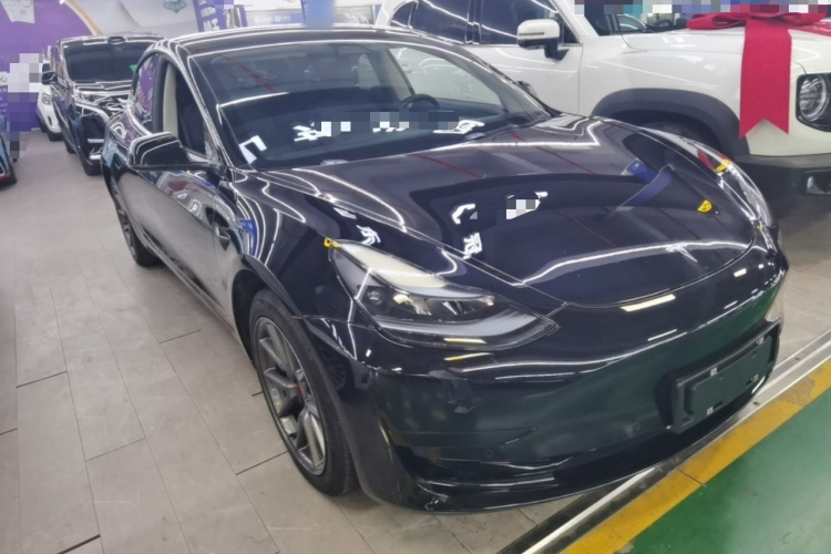 Tesla Model 3 2023 car image #6