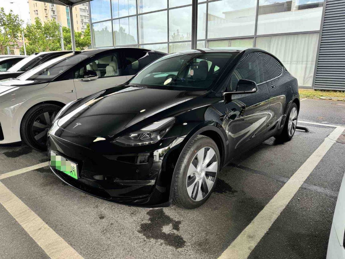 Tesla Model Y 2021 Tesla Model Y 2021 immagine di auto