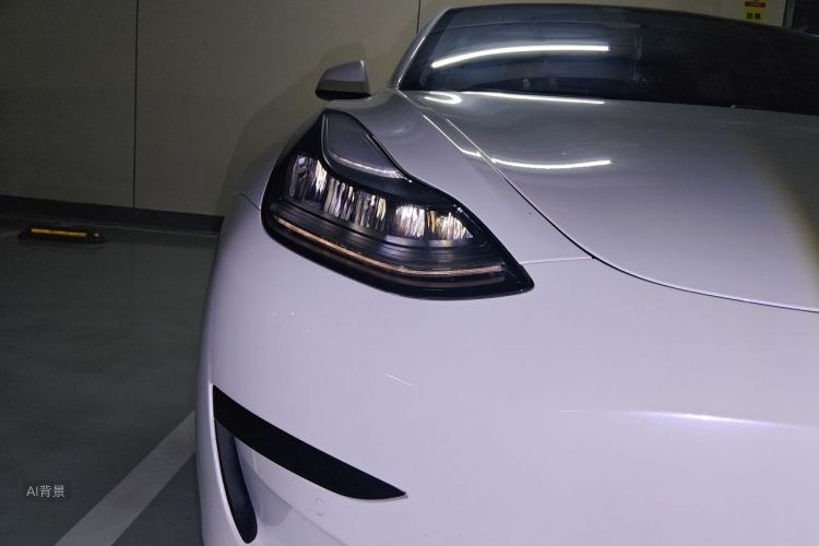 Tesla Model 3 2019 #8 Tesla Model 3 2019 car image #8
