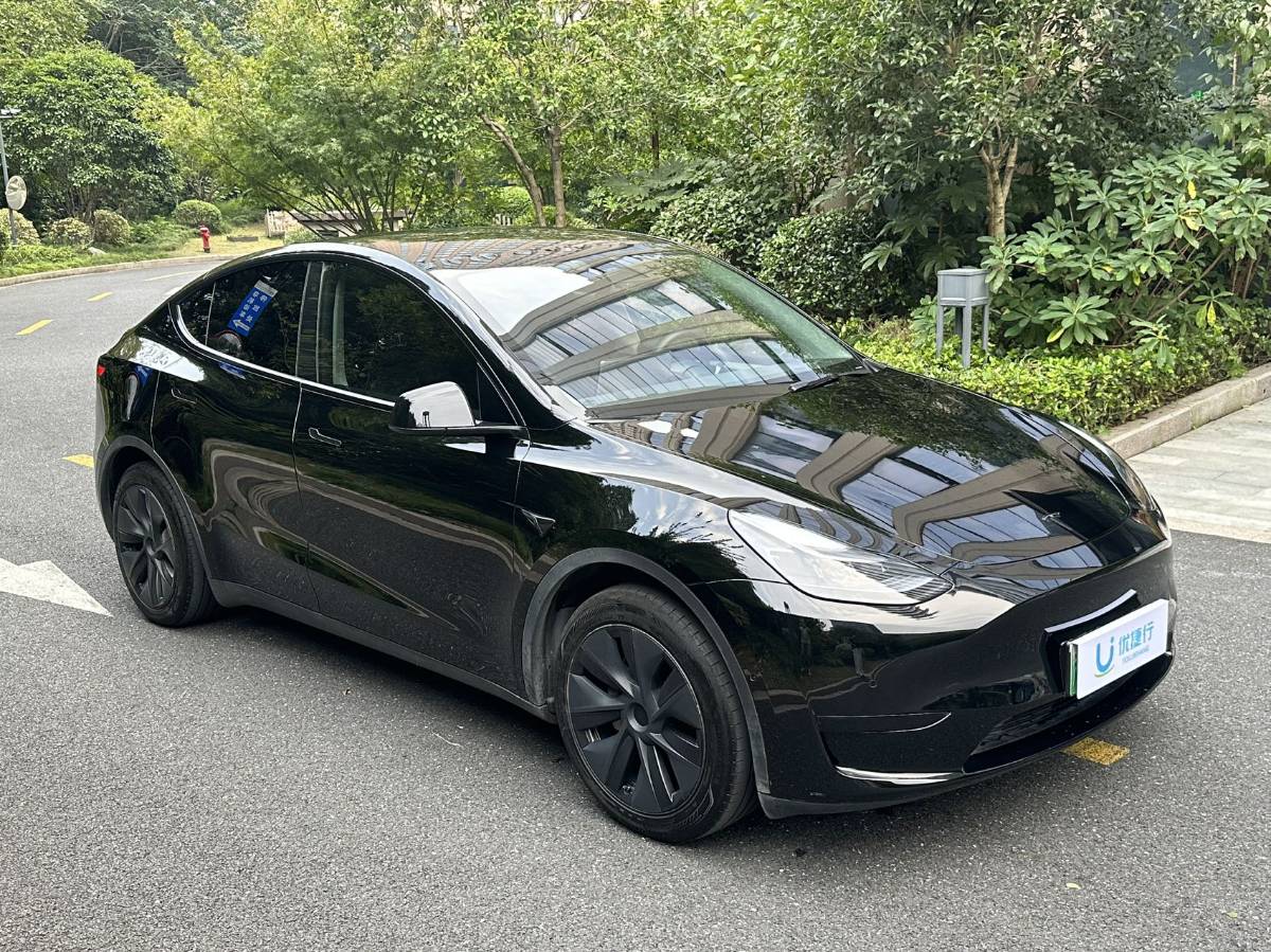 Tesla Model Y 2024 car image #3