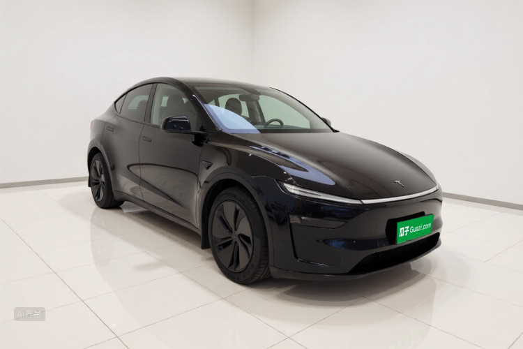 Tesla Model Y 2025 car image #4