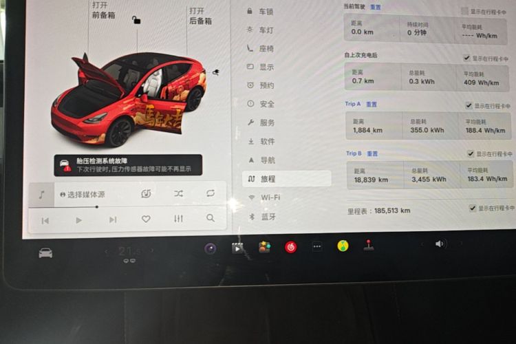 Tesla Model Y 2021 car image #12