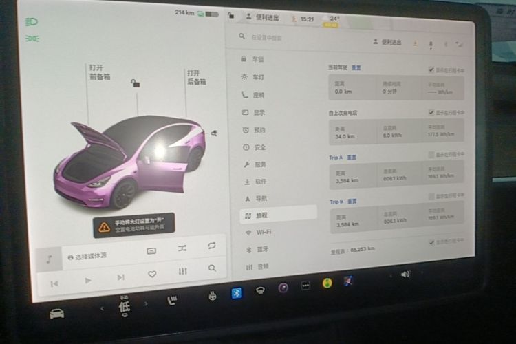Tesla Model Y 2021 #12 Tesla Model Y 2021 car image #12