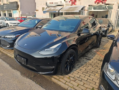 Tesla Model Y 2021 Tesla Model Y 2021 car image