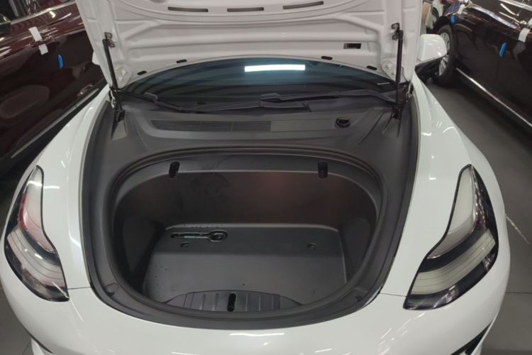 Tesla Model 3 2020 #20 Tesla Model 3 2020 car image #20