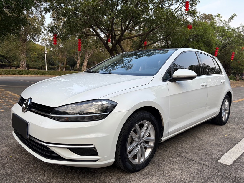 Volkswagen Golf 2019 Volkswagen Golf 2019 汽车图片