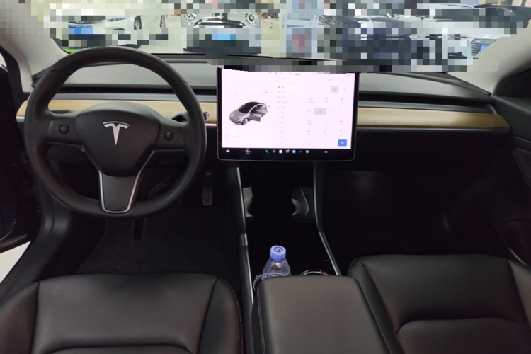Tesla Model 3 2020 car image #10