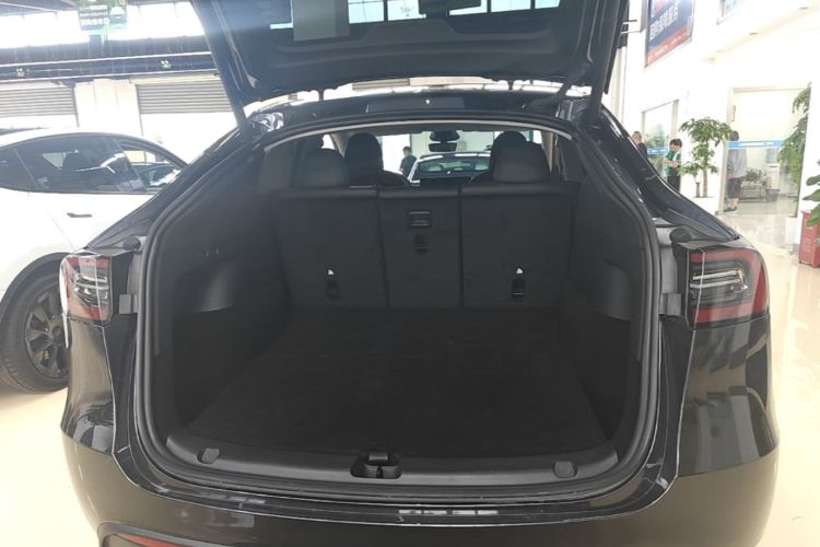Tesla Model Y 2024 car image #19