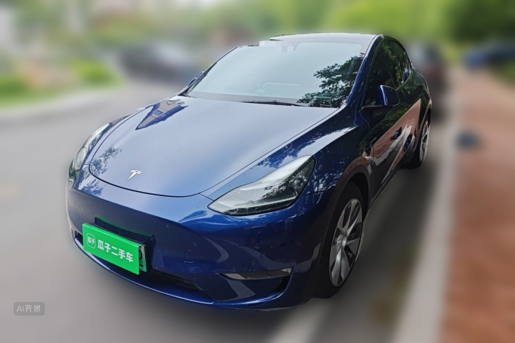 Tesla Model Y 2021 car image #2