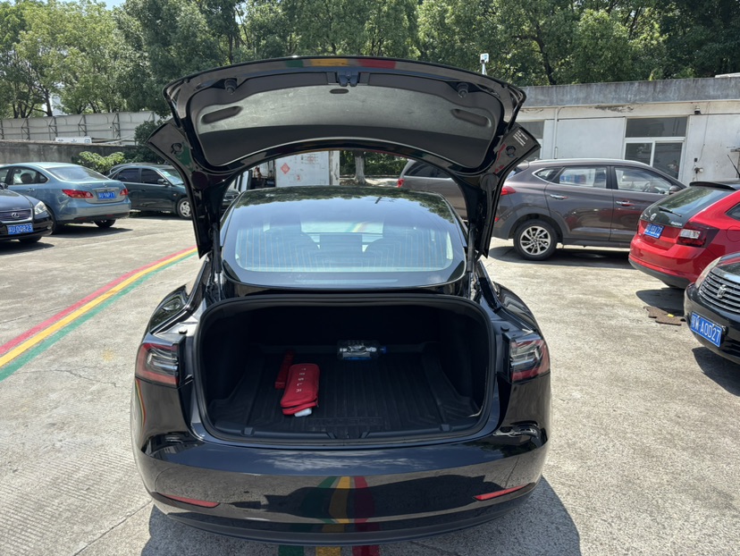 Tesla Model 3 2020 car image #16