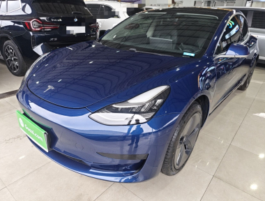 Tesla Model 3 2020 Tesla Model 3 2020 car image