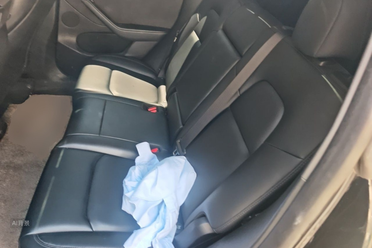 Tesla Model Y 2023 #19 Tesla Model Y 2023 car image #19