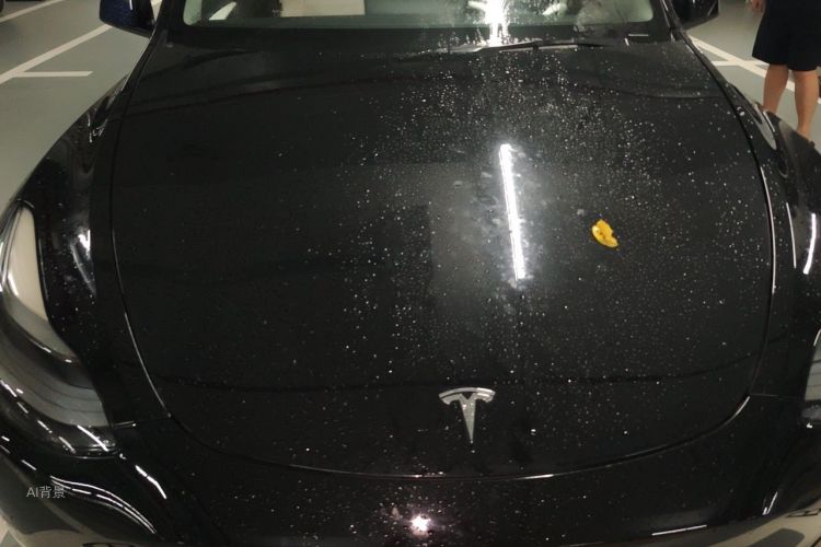 Tesla Model Y 2021 car image #22