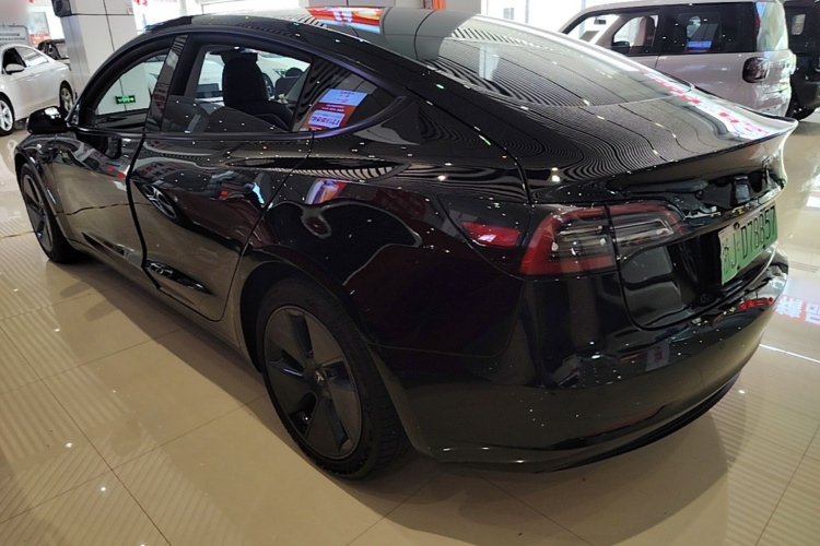 Tesla Model 3 2021 #5 Tesla Model 3 2021 car image #5