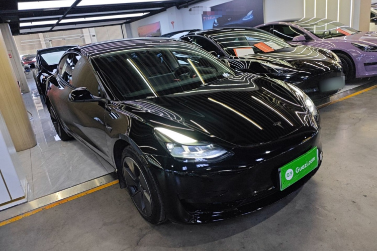 Tesla Model 3 2023 car image #6